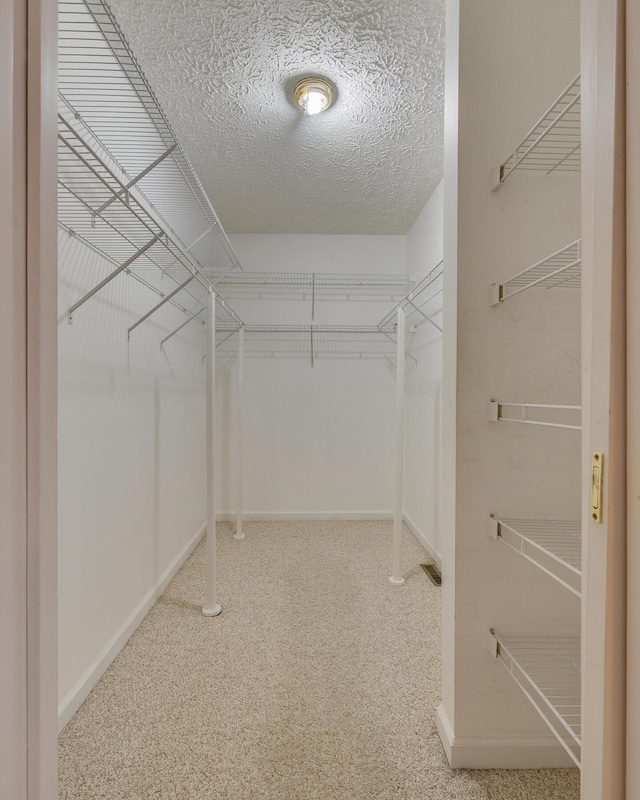 spacious closet with carpet