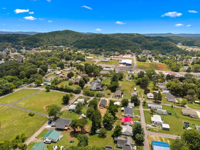 605 Brummit St, Rogersville, TN 37857 - photo 27