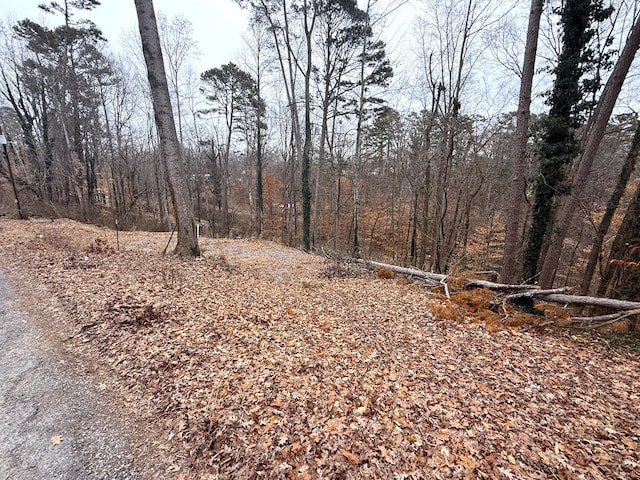 1538 Mayflower Ln, Dandridge, TN 37725