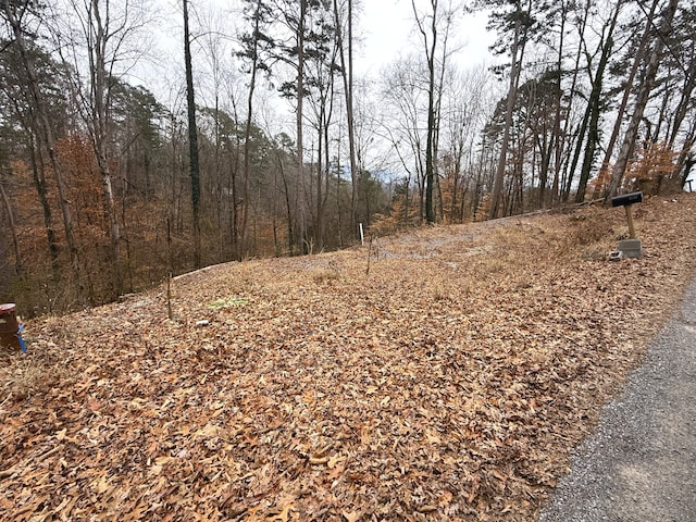 1538 Mayflower Ln, Dandridge, TN 37725