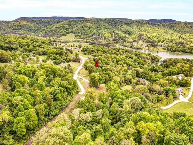 107 Straight Creek Dock Rd, New Tazewell, TN 37825 - bird's eye view of a forest and a water and mountain view