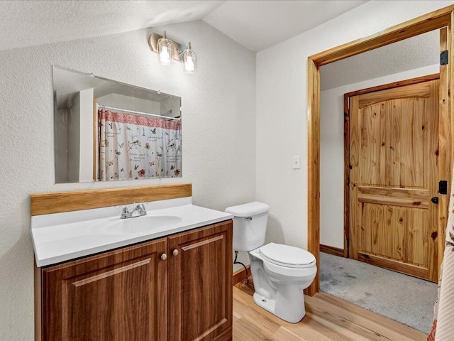 107 Straight Creek Dock Rd, New Tazewell, TN 37825 - bathroom with wood finished floors, toilet, a textured wall, vaulted ceiling, and vanity
