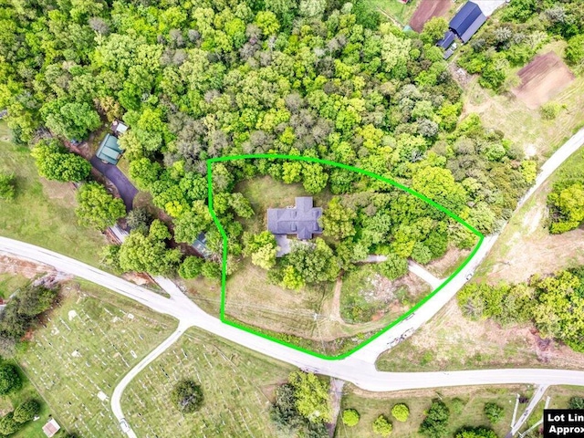 107 Straight Creek Dock Rd, New Tazewell, TN 37825 - view of property location featuring property boundaries highlighted