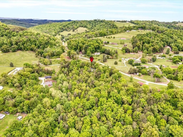 107 Straight Creek Dock Rd, New Tazewell, TN 37825 - bird's eye view of a heavily wooded area