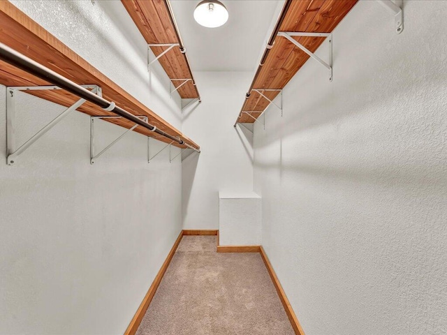 107 Straight Creek Dock Rd, New Tazewell, TN 37825 - spacious closet with carpet floors