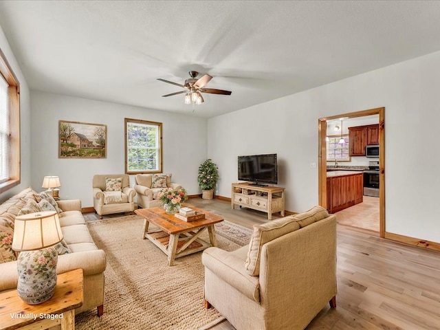 107 Straight Creek Dock Rd, New Tazewell, TN 37825 - living area with light wood-style floors, a ceiling fan, and baseboards