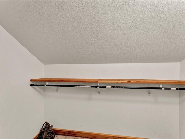 107 Straight Creek Dock Rd, New Tazewell, TN 37825 - spacious closet featuring lofted ceiling