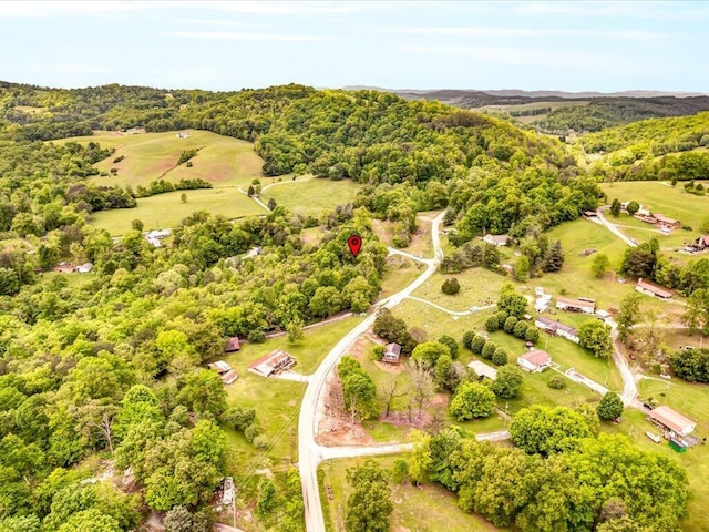107 Straight Creek Dock Rd, New Tazewell, TN 37825 - aerial view of a forest