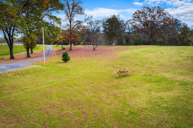 2472 Doe Rd, Newport, TN 37821 - view of grassy yard
