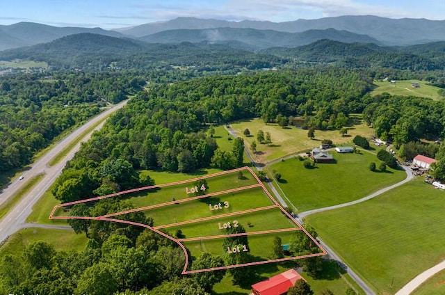 2472 Doe Rd, Newport, TN 37821 - view of property location with a mountain backdrop, property boundaries highlighted, and a forest