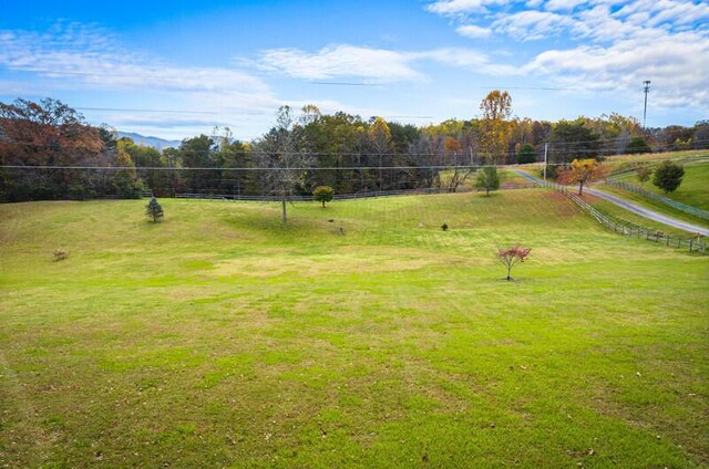 2472 Doe Rd, Newport, TN 37821 - view of green lawn