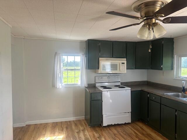 3465 Beth Carr Rd, White Pine, TN 37890 - photo 7