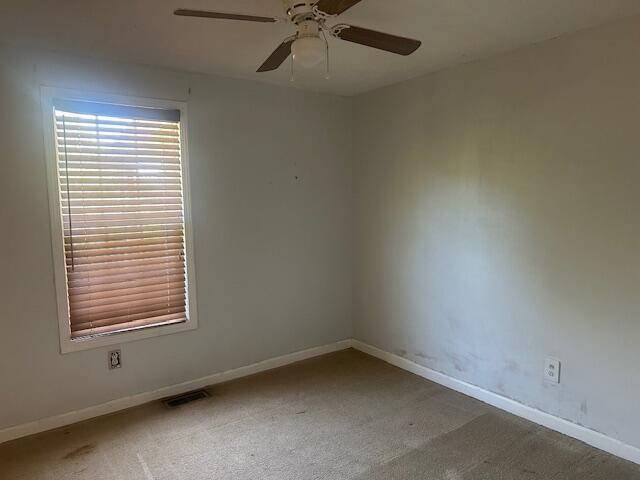 3465 Beth Carr Rd, White Pine, TN 37890 - photo 13