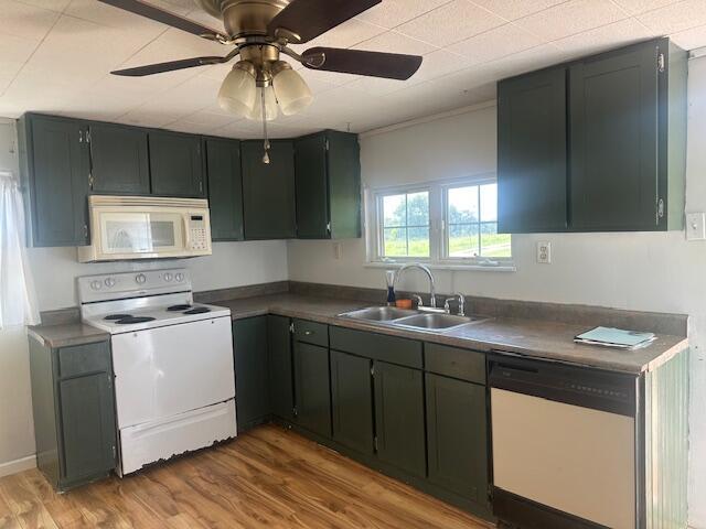 3465 Beth Carr Rd, White Pine, TN 37890 - photo 6