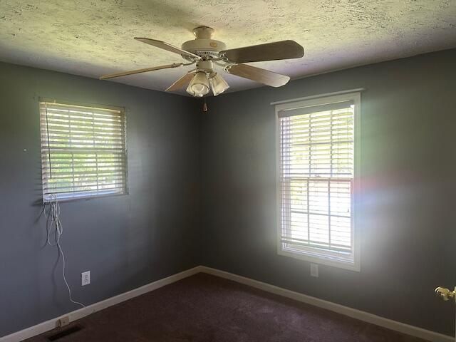 3465 Beth Carr Rd, White Pine, TN 37890 - photo 14