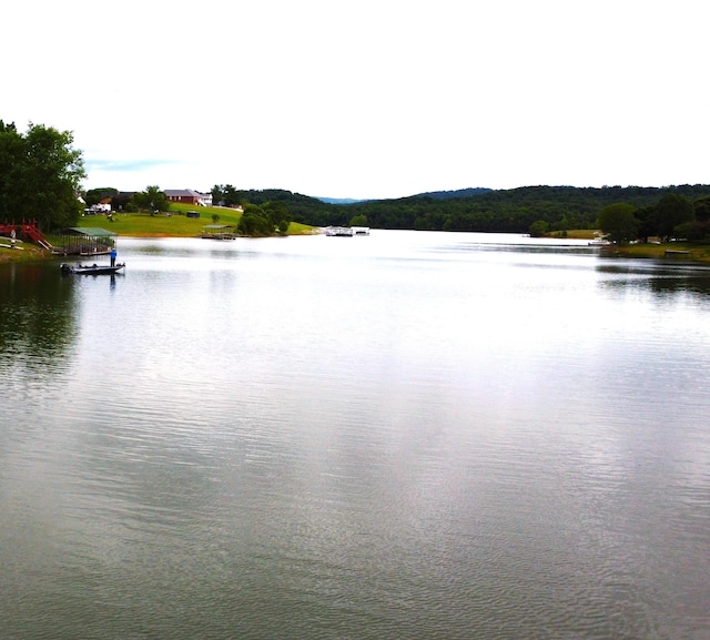 4119 Azalea Ct, Morristown, TN 37814 - water view