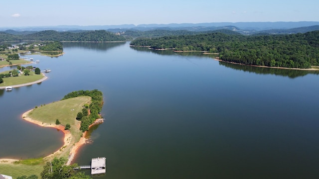 4119 Azalea Ct, Morristown, TN 37814 - aerial view of a heavily wooded area and a large body of water