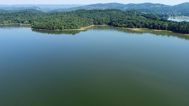 4119 Azalea Ct, Morristown, TN 37814 - drone / aerial view of a forest and a water and mountain view