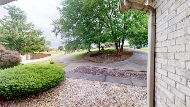 4119 Azalea Ct, Morristown, TN 37814 - view of yard