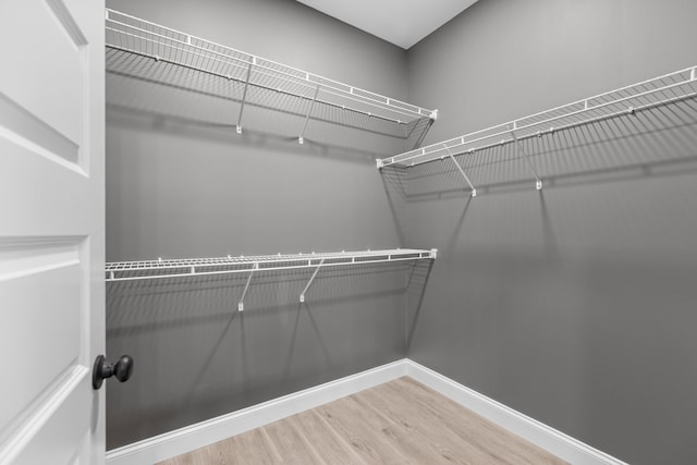 walk in closet featuring hardwood / wood-style flooring