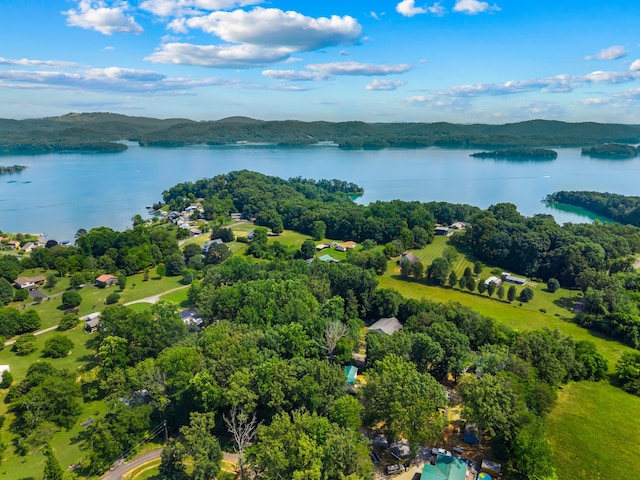 329 Shady Glen Ln, Rutledge, TN 37861 - bird's eye view of a water and mountain view