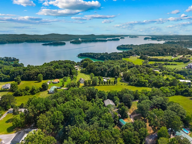 329 Shady Glen Ln, Rutledge, TN 37861 - drone / aerial view of a large body of water