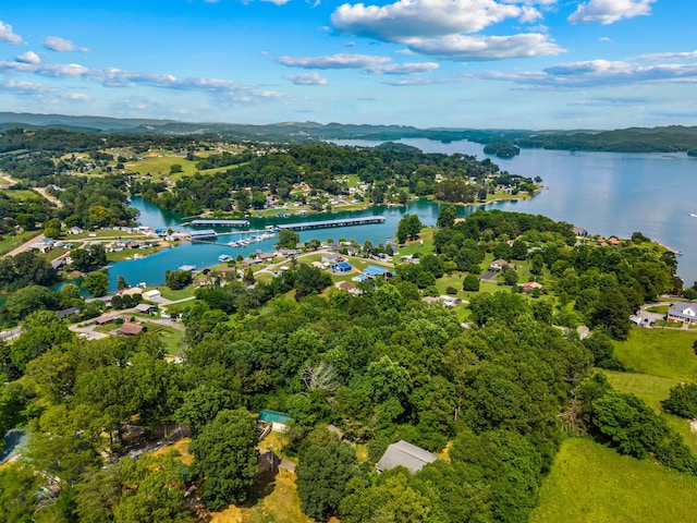 329 Shady Glen Ln, Rutledge, TN 37861 - drone / aerial view of a large body of water