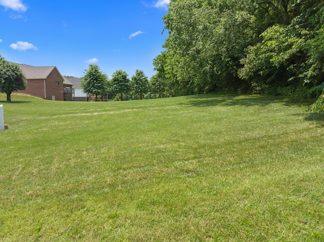 4705 E Hampton Blvd, Morristown, TN 37813 - view of green lawn