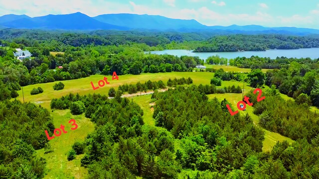 1440 Swannsylvania Rd, Dandridge, TN 37725