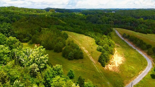 1440 Swannsylvania Rd, Dandridge, TN 37725