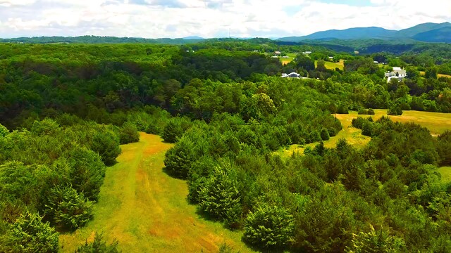 1440 Swannsylvania Rd, Dandridge, TN 37725
