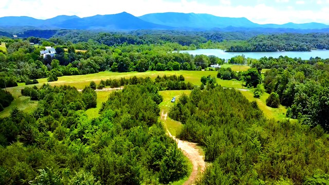 1440 Swannsylvania Rd, Dandridge, TN 37725