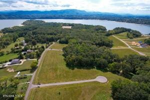 12 Harrison Ferry Rd, White Pine TN, 37890 land for sale