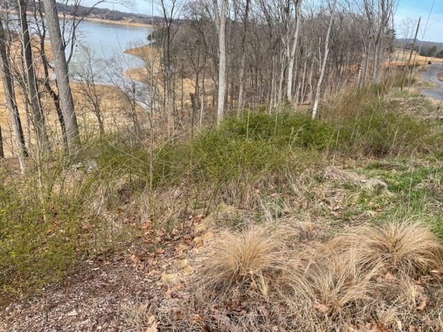 LOT133 W Point Dr, Dandridge, TN 37725