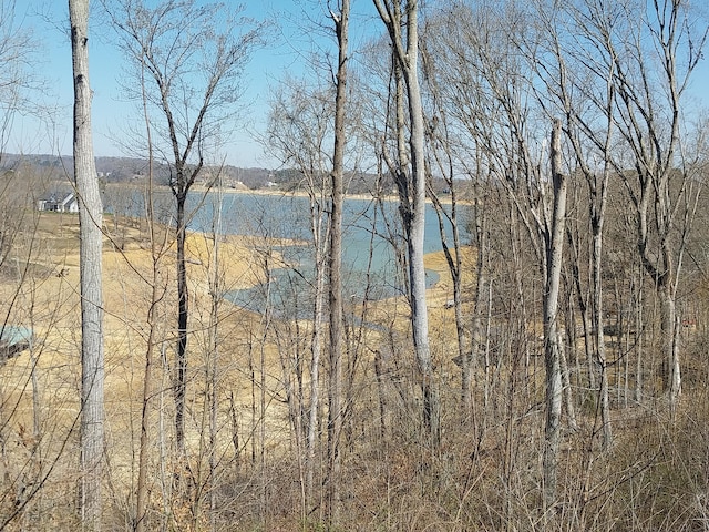 LOT133 W Point Dr, Dandridge, TN 37725