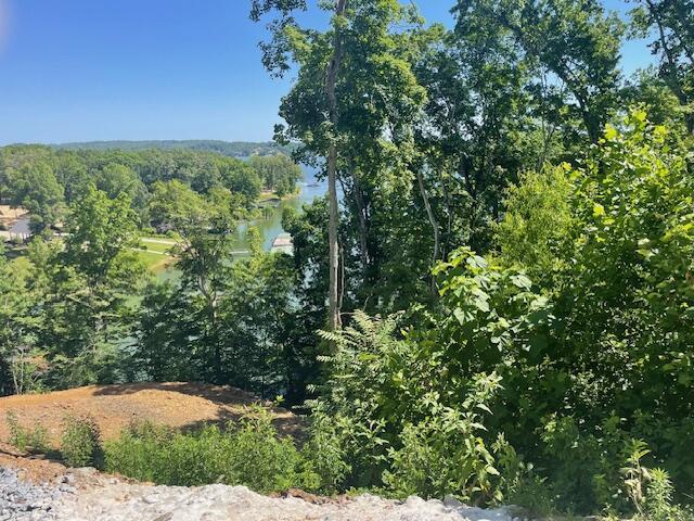 LOT133 W Point Dr, Dandridge, TN 37725