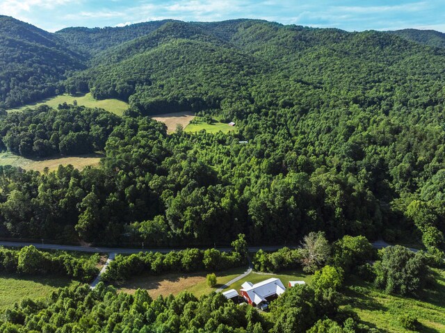 5635 Houston Valley Rd, Greeneville, TN 37743 - photo 32