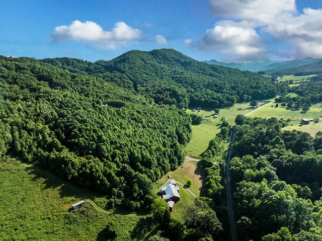 5635 Houston Valley Rd, Greeneville, TN 37743 - photo 39