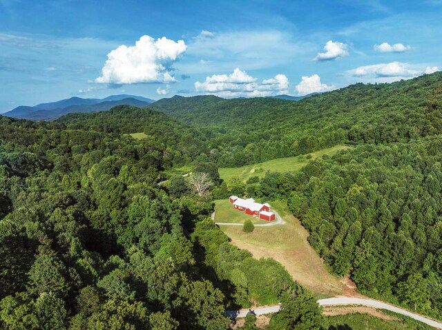 5635 Houston Valley Rd, Greeneville, TN 37743 - photo 35