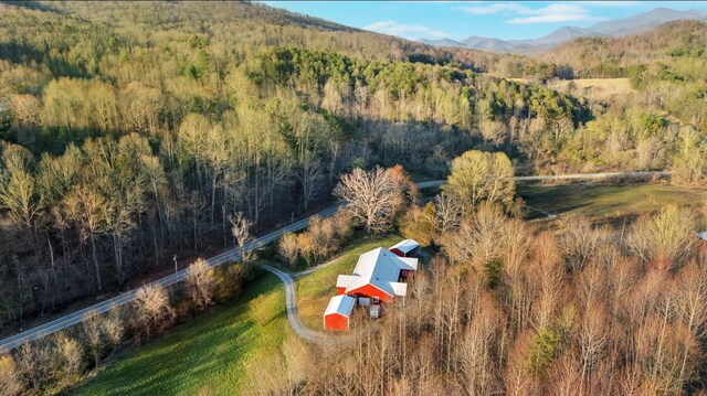 5635 Houston Valley Rd, Greeneville, TN 37743 - photo 41