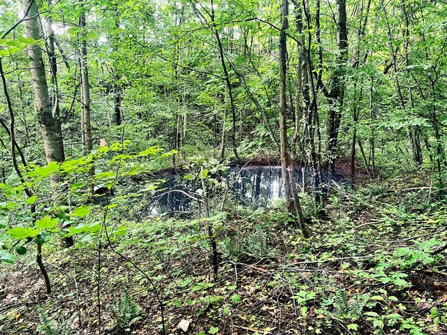 5635 Houston Valley Rd, Greeneville, TN 37743 - photo 42
