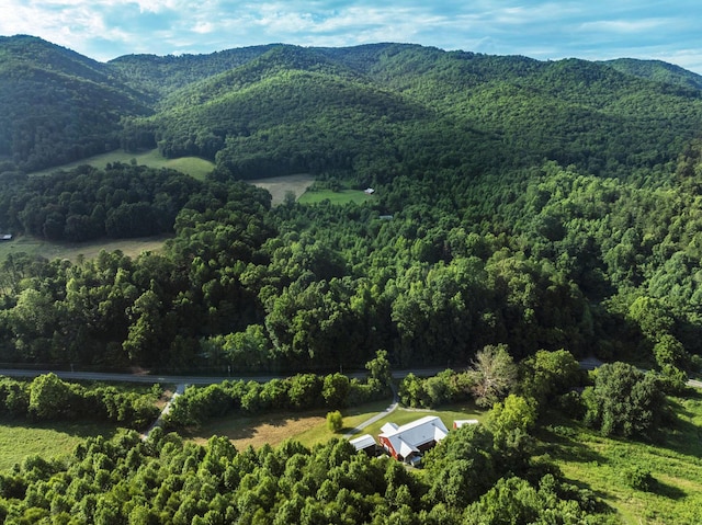 5635 Houston Valley Rd, Greeneville, TN 37743 - photo 31