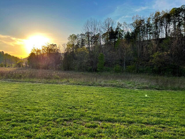 5635 Houston Valley Rd, Greeneville, TN 37743 - photo 43