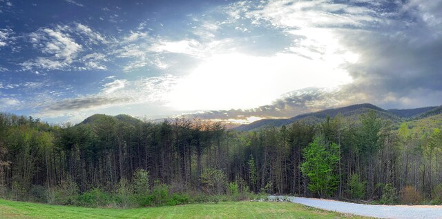 5635 Houston Valley Rd, Greeneville, TN 37743 - photo 44