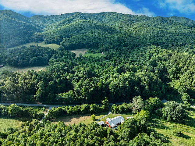 5635 Houston Valley Rd, Greeneville, TN 37743 - photo 38