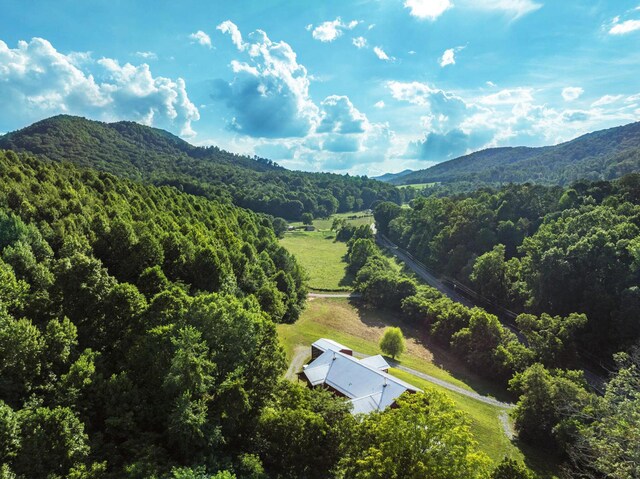 5635 Houston Valley Rd, Greeneville, TN 37743 - photo 33