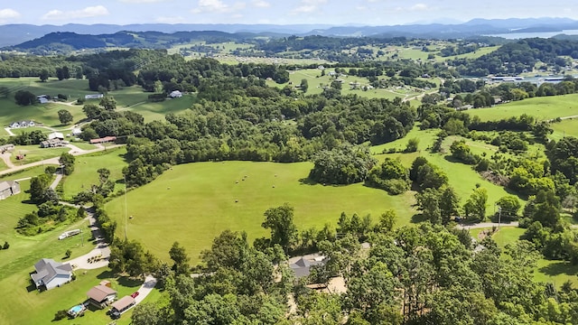 258 Hoppers Blf, Rutledge, TN 37861 - photo 34