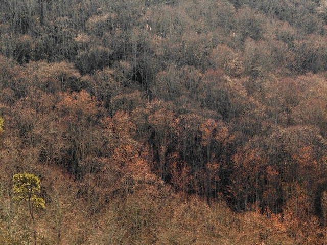 3820 Woody Rd, Hartford, TN 37753