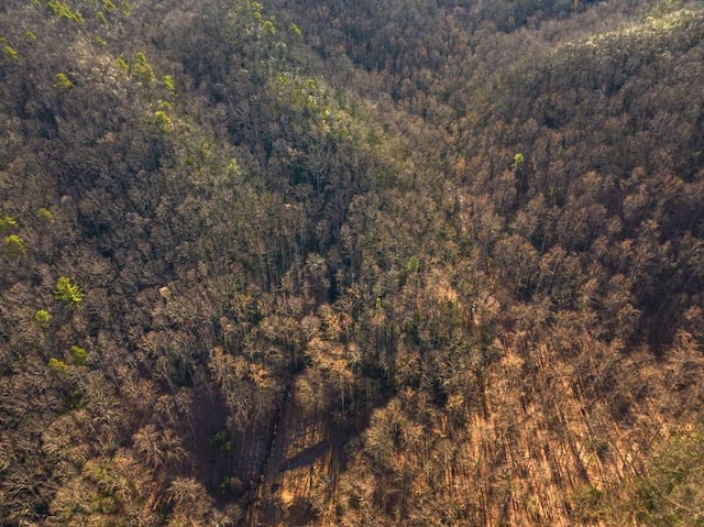 3820 Woody Rd, Hartford, TN 37753