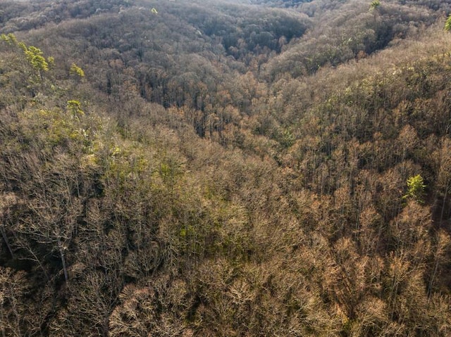 3820 Woody Rd, Hartford, TN 37753